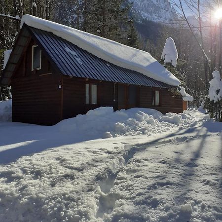 Guesthouse Dioni Valbona Kültér fotó