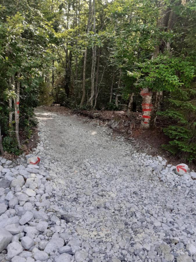 Guesthouse Dioni Valbona Kültér fotó