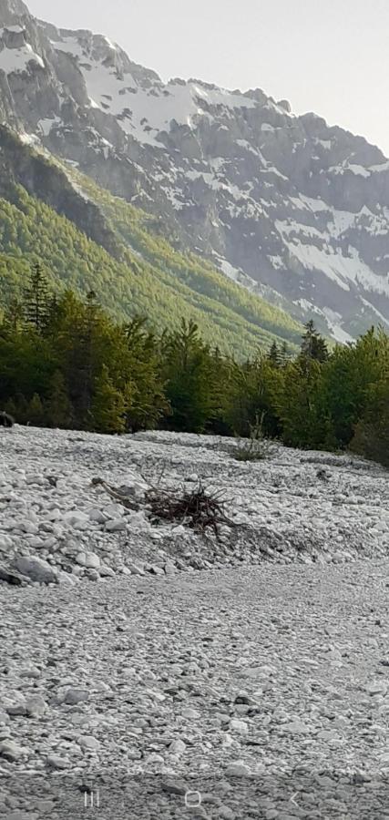 Guesthouse Dioni Valbona Kültér fotó