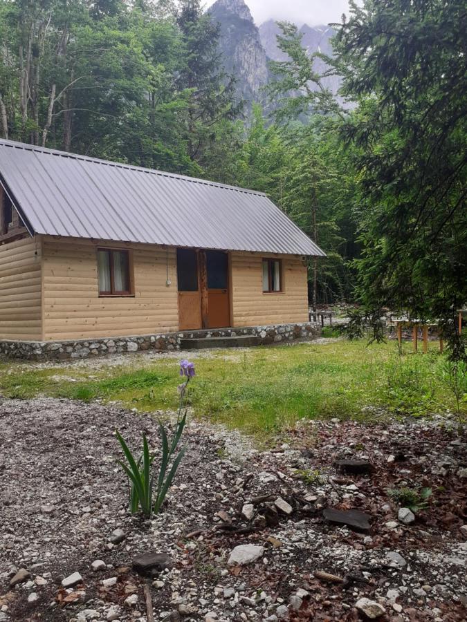 Guesthouse Dioni Valbona Kültér fotó