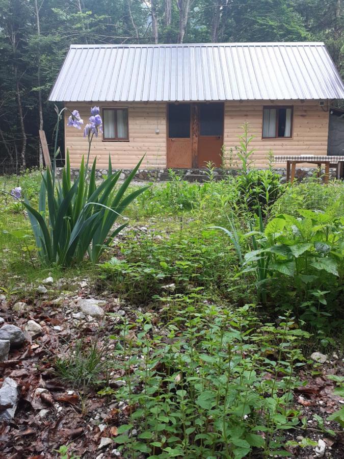 Guesthouse Dioni Valbona Kültér fotó