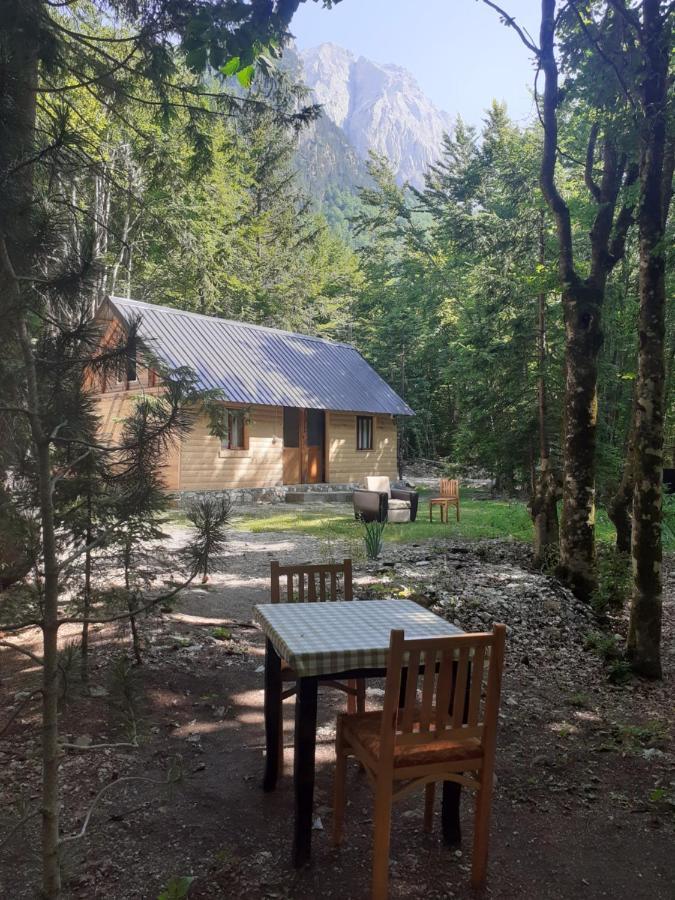 Guesthouse Dioni Valbona Kültér fotó