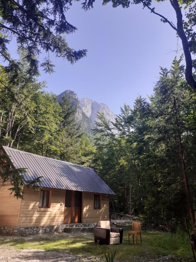 Guesthouse Dioni Valbona Kültér fotó