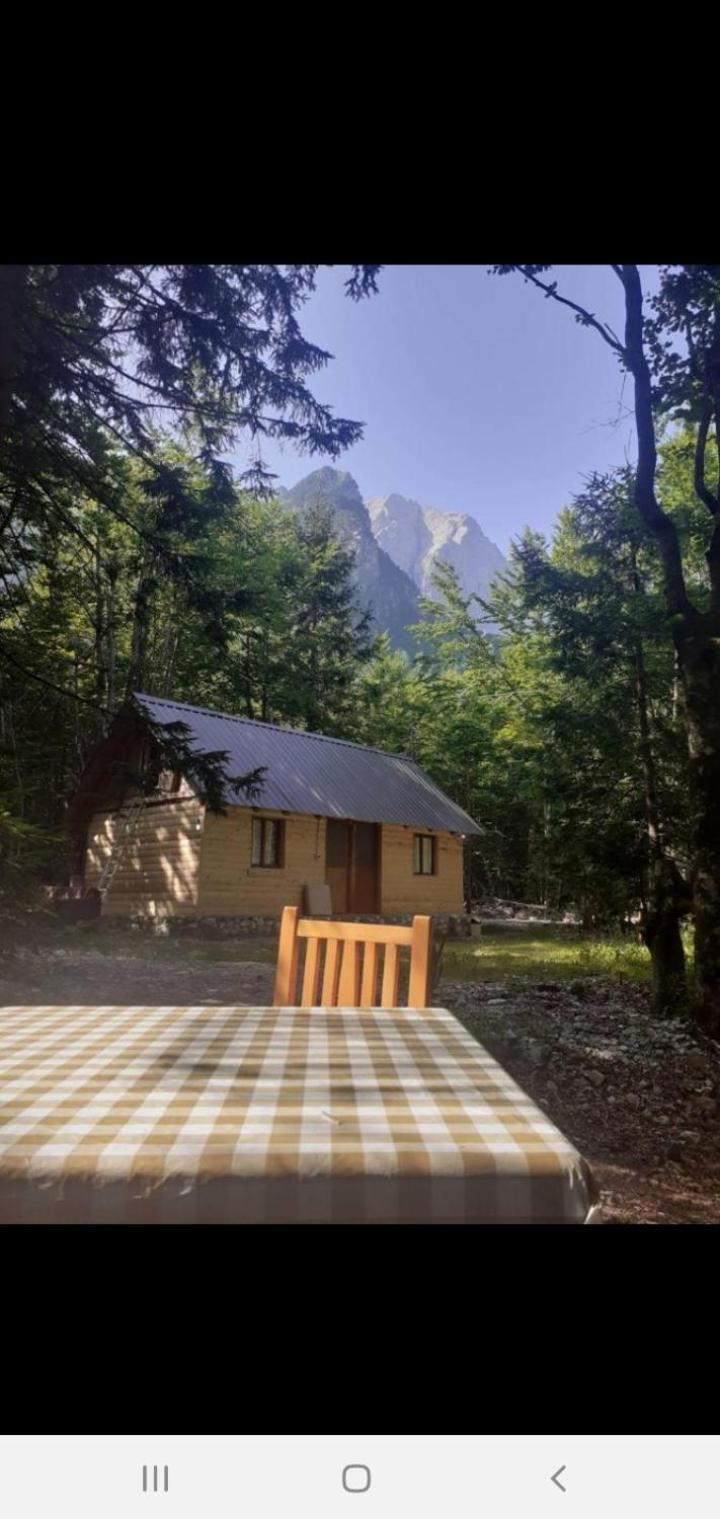 Guesthouse Dioni Valbona Kültér fotó